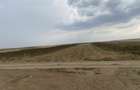 Vand teren intravilan 5.000 mp in Malu Mare Langa Centura de Sud Craiova! - 3