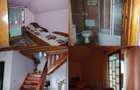 Proprietate de vacanta Valea Oltului - BREZOI - 8