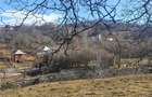 Vand teren intravilan - 5