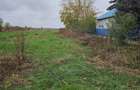 Butimanu Jud. Dambovita, teren intravilan si extravilan - 4