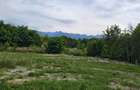 Oportunitate: Vand teren de 1100 mp, deosebit, in localitatea Arpasu de Sus, la poalele Muntilor Fagaras - 5