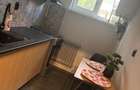 Apartament cu o camera de inchiriat in Grigorescu - 7