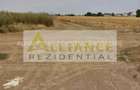 PROPRIETAR Teren intravilan 330 mp, deschidere +17 m Comuna Berceni, Str. Intre Vii 16.950 - 3
