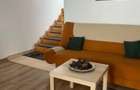 Cabana turistica-Pensiune Ranca pe partia M1 - 5