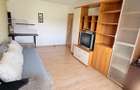 APARTAMENT CU 2 CAMERE DECOMANDAT, STR. STRAMOSILOR, DACIA - 8