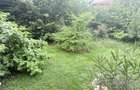 Casa 4 camere, curte ?i pivni?a in suburbie - 10