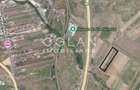 Teren extravilan 11.300 mp, front 39 m, Selimbar - 3