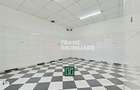 Apartament de vanzare la parter cu doua intrari, Andrei ?aguna - Arad - 9