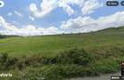 Teren intravilan de vanzare, 2900mp, Deusu Com Chinteni - 1