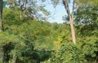 Teren intravilan de 1.470 mp cu padure in spate si priveliste spre vale, la 1h30 de Bucuresti - 7