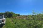 1 Decembrie - Teren intravilan,2331mp,plan constructie existent. - 3