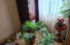 Oravita Apartament 2 camere mobilat + utilat - 5