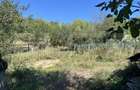 Ferma de vanzare, 250 mp, 70 ha teren agricol, zona Frunzeni - 7