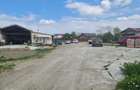 Vand teren in municipiul Botosani - 8