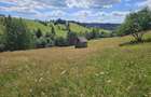 Teren de vanzare extravilan in Bucovina zona Breaza