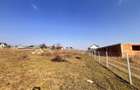 Teren Intravilan de Vanzare 40Ari | Suceava/Salcea I 4950Euro/Ar +TVA