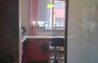 Penthouse Anghel Saligny - 2