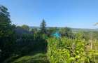Casa renovata + 1,29 ha teren in Cotnari vedere superba!