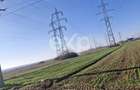 Teren de vanzare 5000 mp, Dumbrava ,DB - 1