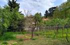 Vand casa in Cuvin com.Ghioroc jud.Arad - 8