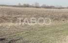 Teren extravilan 4200 mp in Sibiu zona Turnisor - Sibiu (Sibiu)