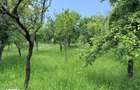 Teren de vanzare sat Schela - 8