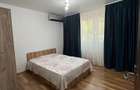 Apartament 2 camere Giurgiului de inchiriat - 8
