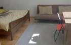 De vanzare 2 apartamente in zona ultracentrala - 11