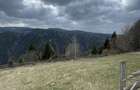 Teren mixt de 3000mp, langa padure ?i munte