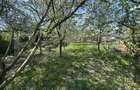 Teren intravilan, 250 mp, zona Bercu Rosu - 2