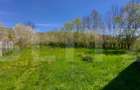 Casă autentică  3.100 mp teren, livadă si parau I Lisnau - 4