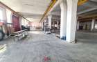 Hale noi in Baicoi, Ph--13.000mp--3e