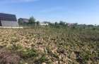 Vand teren intravilan in localitatea Cosoba - 600 mp, - 1
