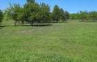 Teren intravilan - Herina - 3