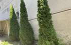 inchiriez apartament cu o camera ultracentral - 7