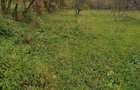 Teren de vanzare in Musate?ti, jude?ul Arge?, zona Maruncioaia, 3560mp, 25m deschidere, 4 EUR/mp - 1