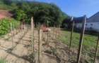 Teren Intravilan, Chirales , 15 Ari - 1