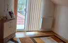 cv 48 Lapusel- teren 480 mp + casa in regim P+M - 7