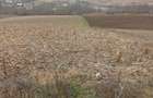 Gradina, teren 3000 mp - 4