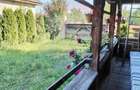 Casa traditionala si teren in s.f de 679 mp, Vadu Izei - 13