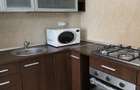 Ofer spre inchiriere apartament 2 camere Mogosoaia parc - 4