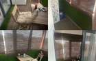 De Inchiriat Apartament 3 camere Filiasi zona Carrefour - 5