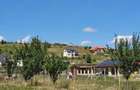Teren panoramic 19 ari cu PUZ Odorheiu Secuiesc, Szeldomb - Investitie sigura - 4