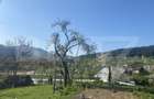 Casa de vanzare, cu 8 camere, 310 mp, cu teren de 1532 mp, zona Frasin - 8