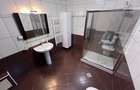 Inchiriere Casa Individuala Iancu Nicolae