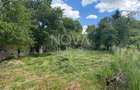 Teren intravilan - Sat. Rod - Tilisca - 4