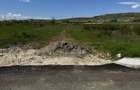 Loturi de 500MP zona Walter - Prelungirea Linistii - 2