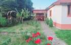 Casa de vanzare-Sat Profa Deal(35km de pitesti) - 10