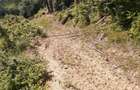 Teren extravilan, padure, 20.000mp2, Posesti Prahova - 3