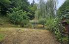 Căsuță de vacanță de vânzare – comuna Alexandru cel Bun, Neamț - 40